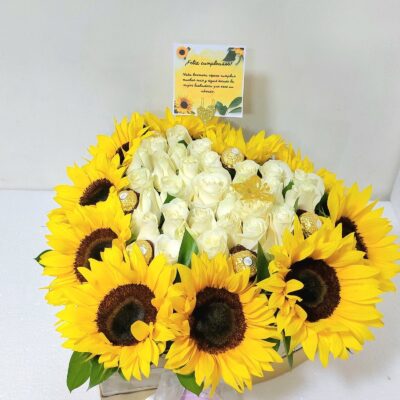 Caja de girasoles luminosos