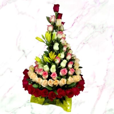 Espiral Rosas x100