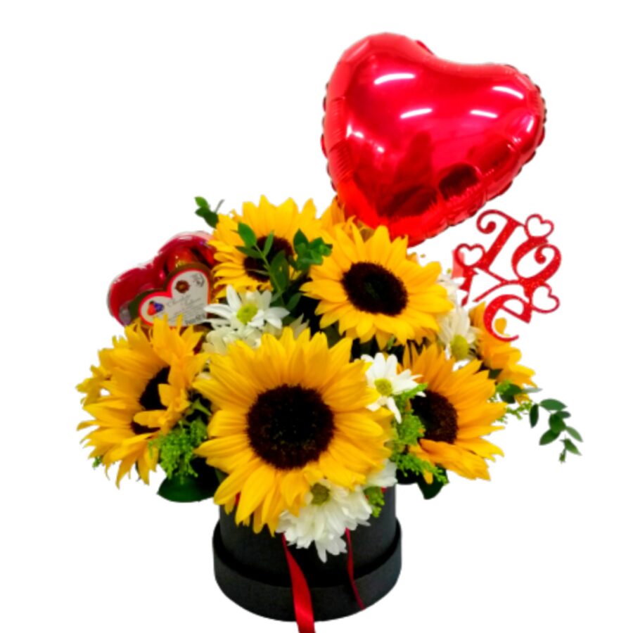 Girasol Luminoso