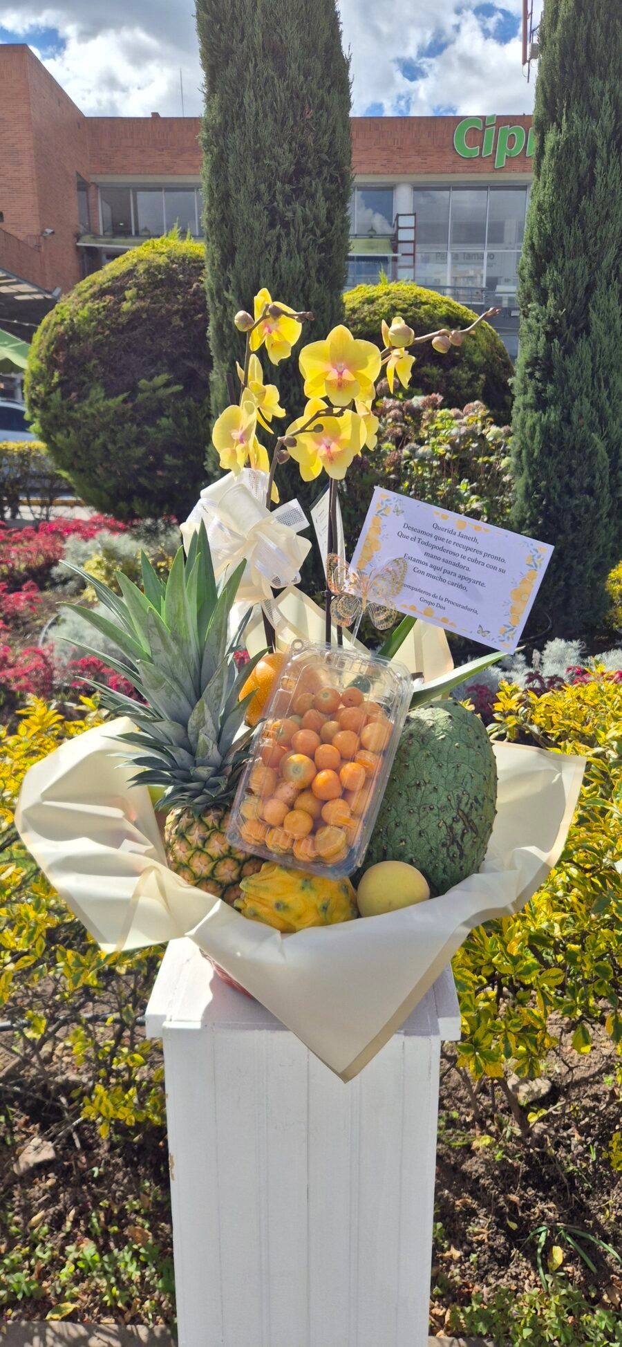 Orquidea phalenopsis con fruta.