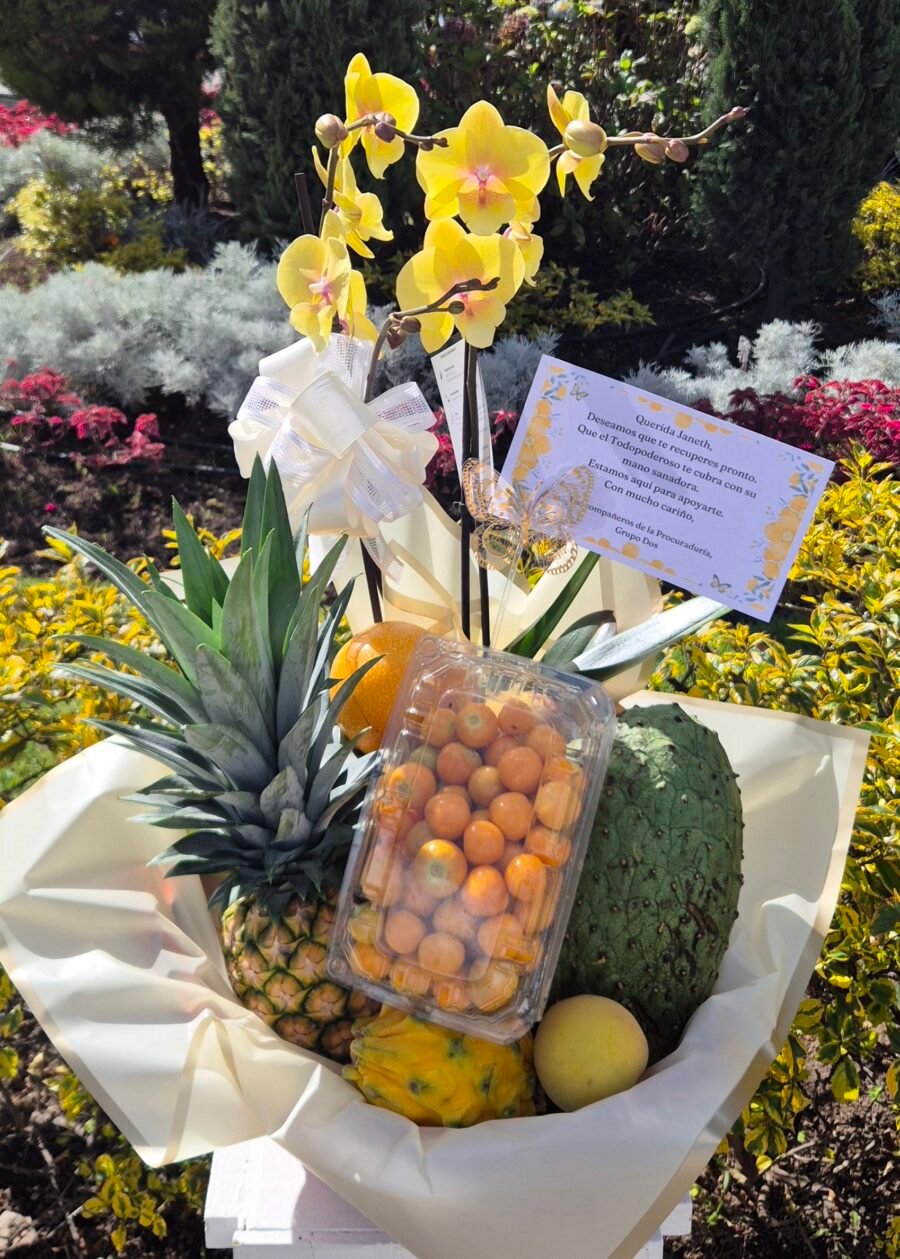 Orquidea phalenopsis con fruta.