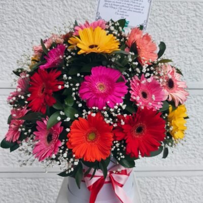 Caja de 24 Gerberas mixtas