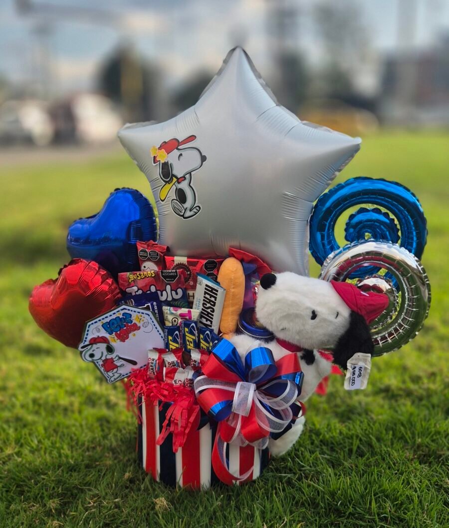 Ancheta peluche y chocolates