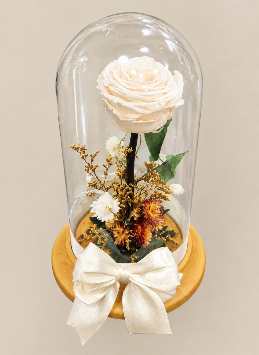 Rosa preservada Blanca